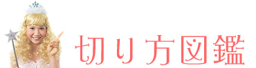 切り方図鑑