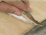 お肉を柔らかくする