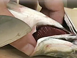 お肉を柔らかくする
