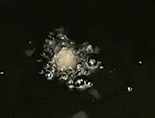 水加減・火加減