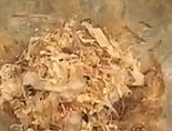 煮る